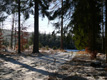 Blick in den Winterwald