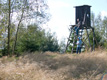 Hochsitz im Harzwald