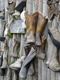 Cowboystiefel an einer Wand aufgehängt