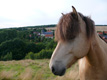 Blick entlang der Dorfstraße